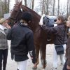 vor dem Springreiterwettbewerb